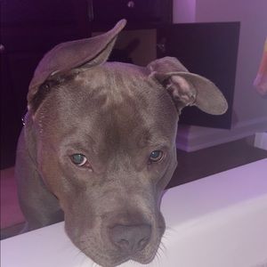 Meet your Posher, Kiana